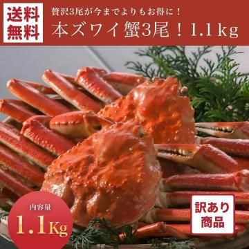 ʡۥܥѤܥ磻 3 1.1kg̵