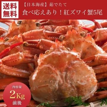 ܳ觤Ǥƹȥ磻 5 (2kg)̵