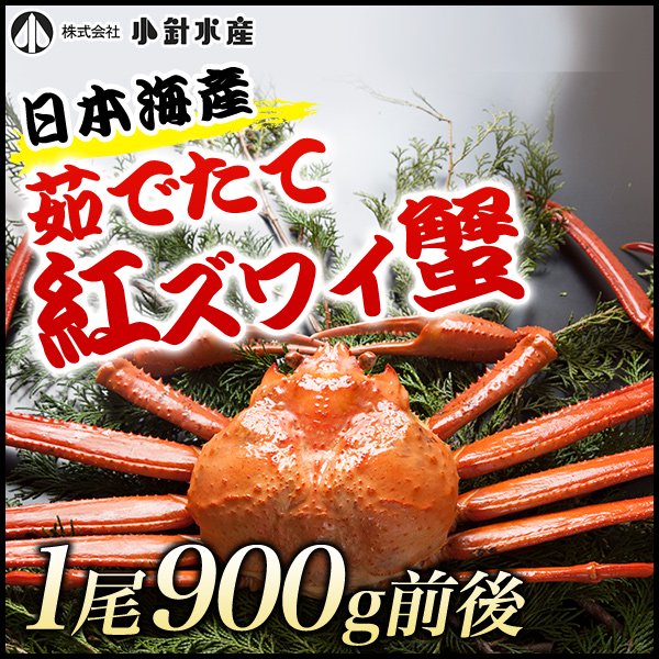 紅ズワイガニ/ずわい蟹/タラバガニ/塩引き鮭 カニ通販【小針かに屋 