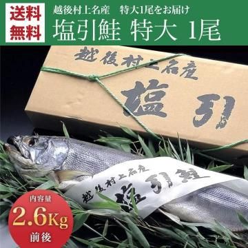    1 2.6kg ¼̾ (   㤱 㥱 ) ʪ  ̵  ե £ ˤ ֤  ץ쥼 ˤ