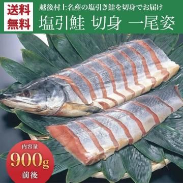 ¼̾ ڤ900g̵