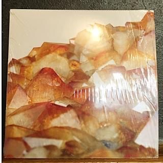 DNTEL PRESENTS : DYING SONGS MIX CD