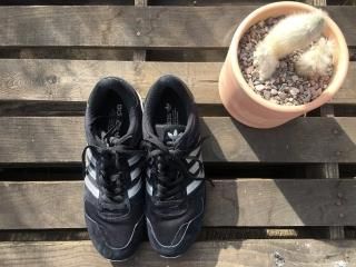 adidas sneaker