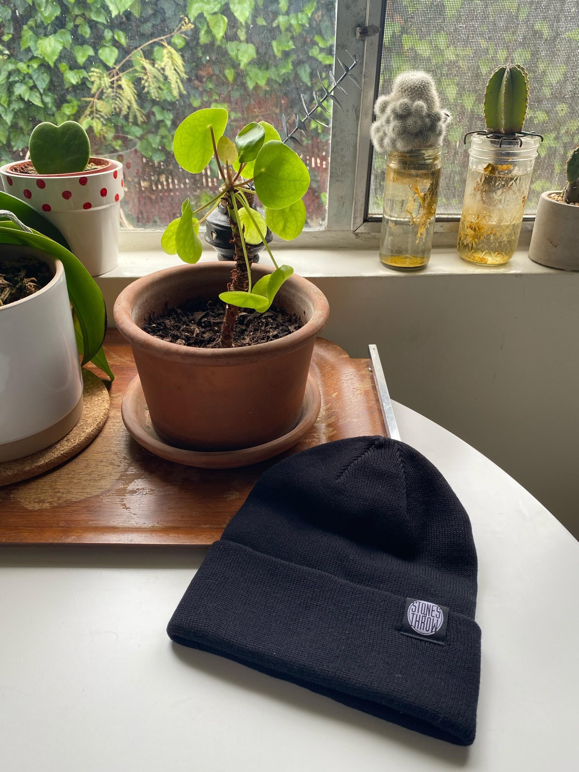 新品　STONES THROW CAP 　BOLD BEANIE STONES THROW KNIT CAP / New - LOSER ONLINE STORE