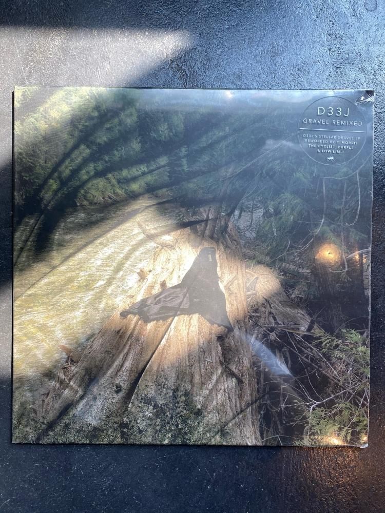 D33J -GRAVEL Remix 12inch 