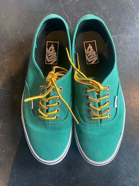 VANS ERAUS mens 9 USED 