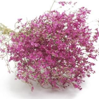 コットンフラワー　さまざま詰め合わせ コットンフラワー さまざま詰め合わせ コットン フラワー」の