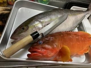浅釣オリジナル - まちのつり具屋さん