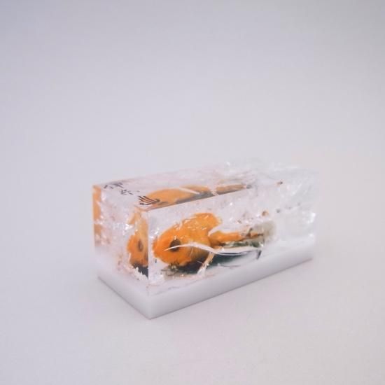 アクリルみやげ 金魚の置物 奇声を発して暴れる坊や アクリルみやげ 金魚の置物 奇声を発して暴れる坊や