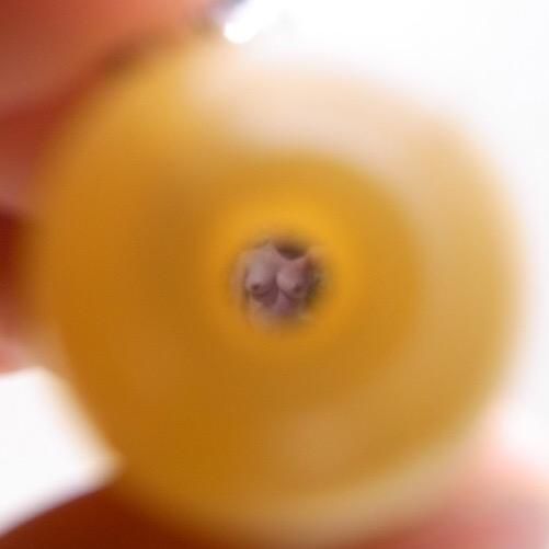 覗き見ひょうたんキーホルダー 黄色 奇声を発して暴れる坊や 覗き見ひょうたんキーホルダー 黄色 奇声を発して暴れる坊や