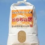 送料無料!富山県黒部市産のこだわりの美味しい玄米を米農家寺崎 送料無料!富山県黒部市産のこだわりの美味しい玄米を米農家寺崎