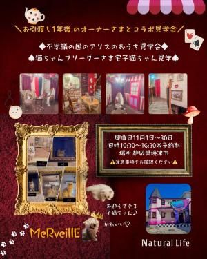 Natural Life OPEN HOUSE