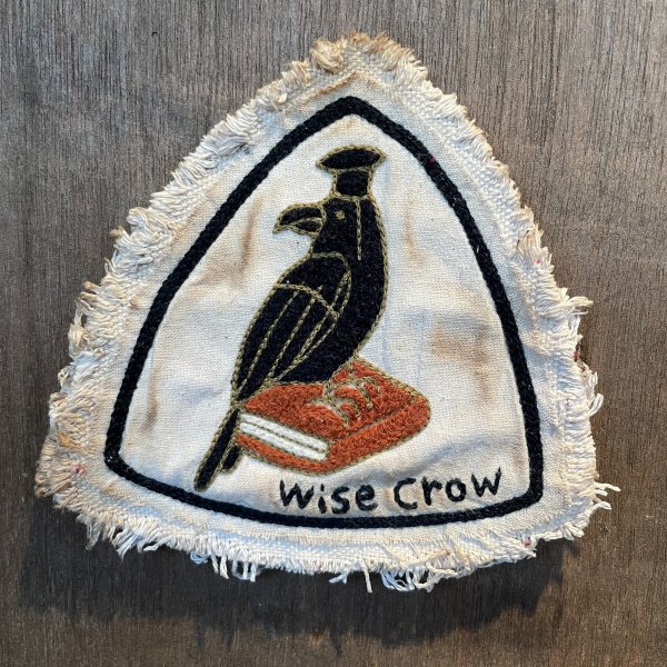 <img class='new_mark_img1' src='https://img.shop-pro.jp/img/new/icons5.gif' style='border:none;display:inline;margin:0px;padding:0px;width:auto;' />Wise crow2