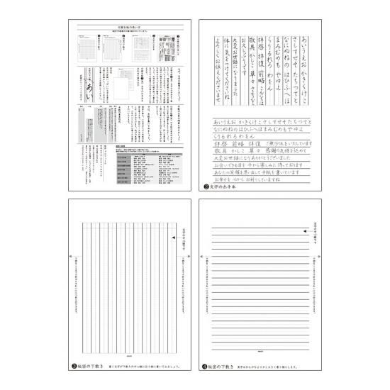 ミドリ きれいな手紙が万年筆で書ける便箋 無地 デザイン文具 Style Dee