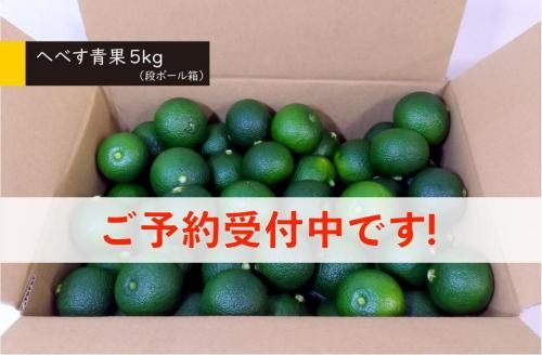 宮崎県産 へべす 5キロ S〜Lサイズ へべす