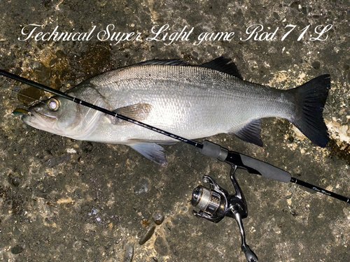 Technical Super Light Game Rod 71L - Shore Mania