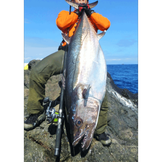 Shore Mania Technical Game Rod B12H ~Livebait style Shore Mania Technical Game Rod B12H ~Livebait style