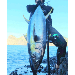 Shore Mania Technical Game Rod S11M ∼Plugging∼(ショア Shore Mania Technical Game Rod S11M ∼Plugging∼(ショア