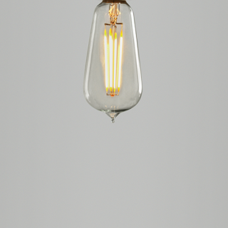 LARGE SQUIRREL CAGE LED