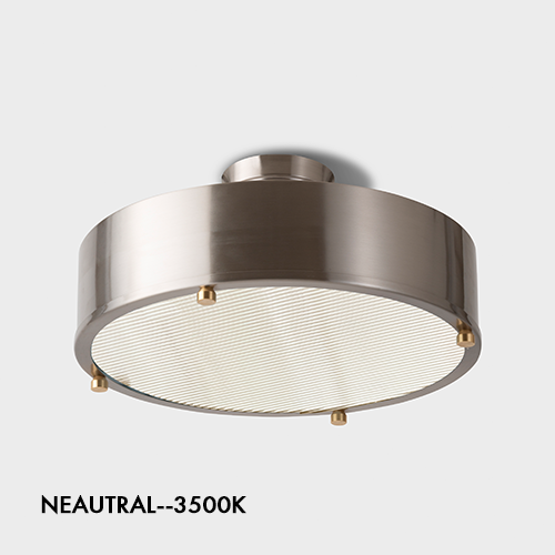 NEIL CEILING LAMP ニールシーリングランプ NEIL CEILING LAMP ニールシーリングランプ