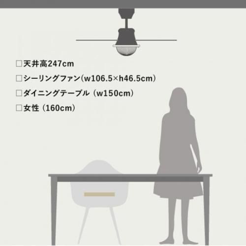 VENICE CEILING FAN シーリングファン ライト付き リモコン付き