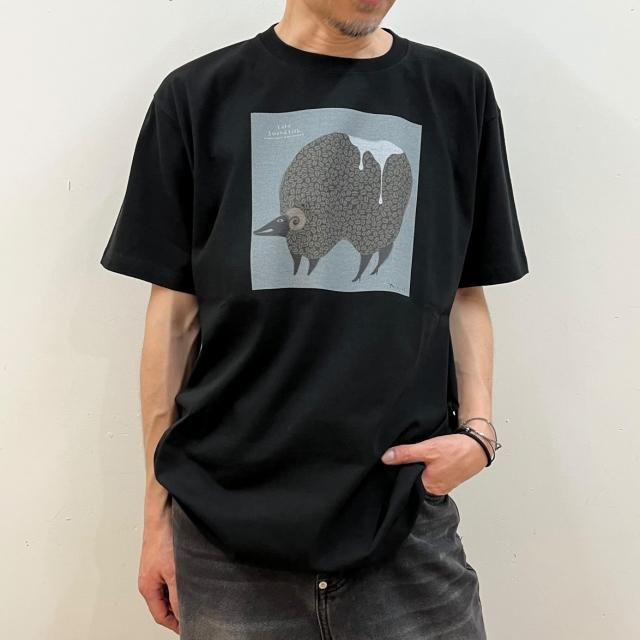 <img class='new_mark_img1' src='https://img.shop-pro.jp/img/new/icons13.gif' style='border:none;display:inline;margin:0px;padding:0px;width:auto;' />ھ졼ۥ<br>T-SHIRTS<br> 