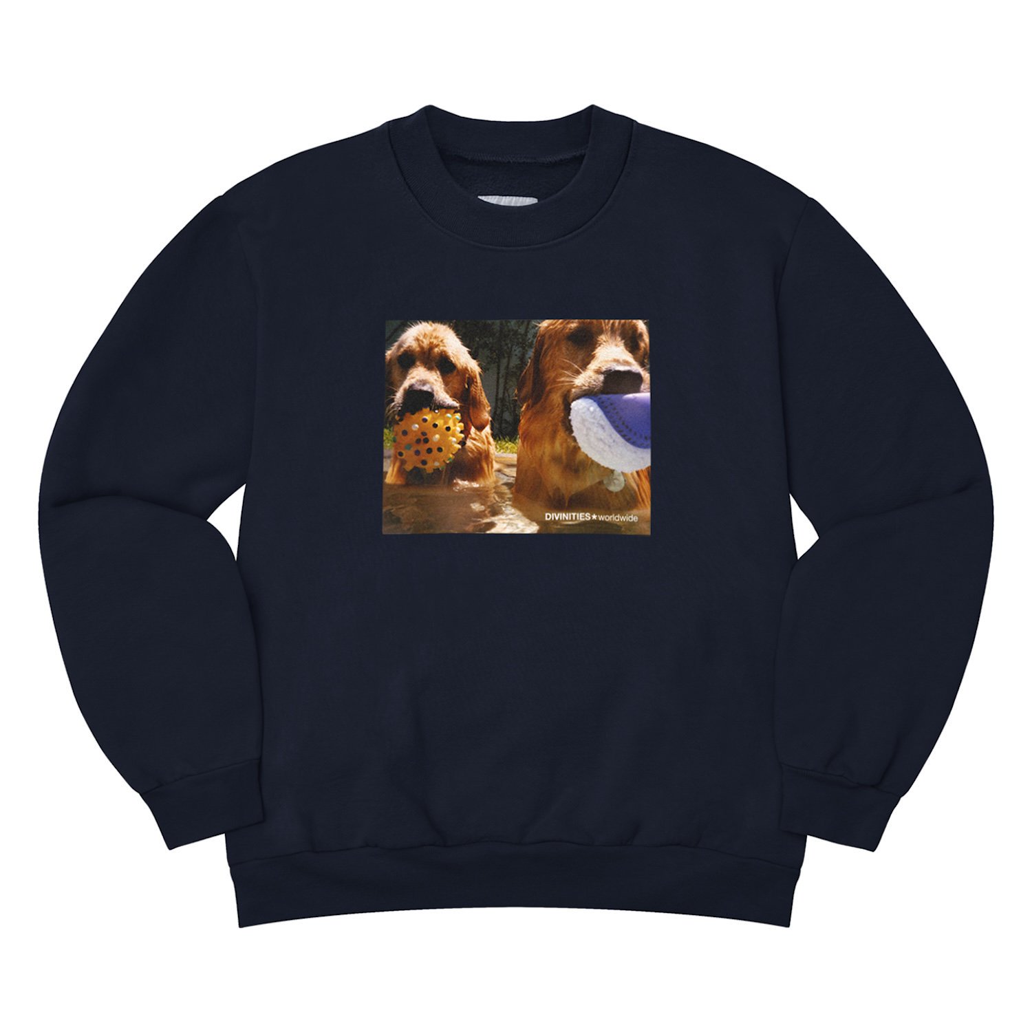 APPLE BUTTER STORE  DIVINITIES<br>Retrievers Crewneck<br>