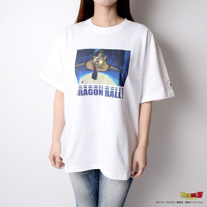<img class='new_mark_img1' src='https://img.shop-pro.jp/img/new/icons14.gif' style='border:none;display:inline;margin:0px;padding:0px;width:auto;' />DRAGON BALL ZȾµT