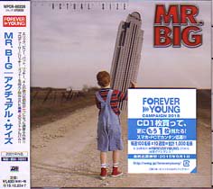 MR.BIG / アクチュアル・サイズ - DISK HEAVEN