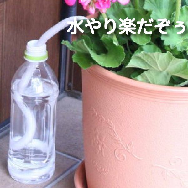 セール ペット 水やり 移動