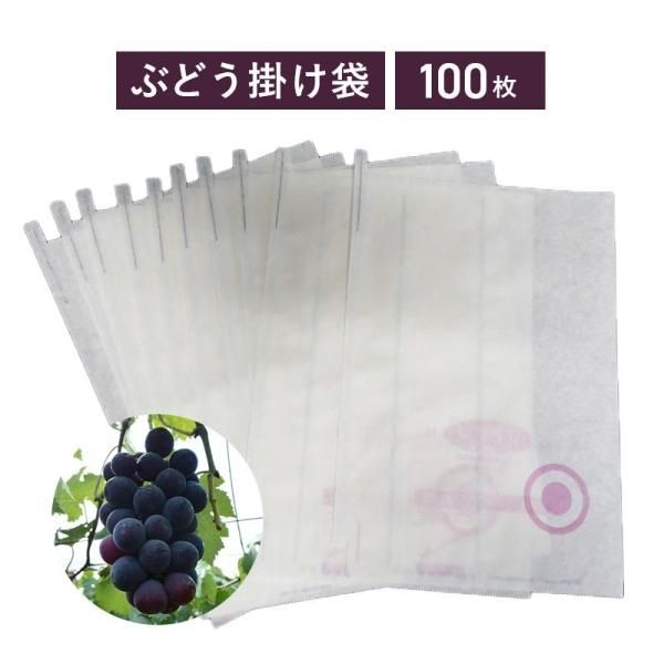 ぶどう掛け袋 100枚入り メール便送料無料 果実袋 防虫袋 グレープ袋 ブドウ 葡萄 袋掛け 花実樹 果樹とガーデニングの専門店 ぶどう掛け袋 100枚入り メール便送料無料 果実袋 防虫袋 グレープ袋 ブドウ 葡萄 袋掛け 花実樹 果樹とガーデニングの専門店