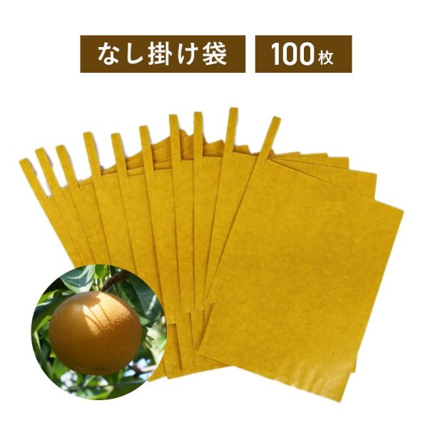 大割引 果実掛袋 梨用 特大 100枚 encantoemagia.com.br