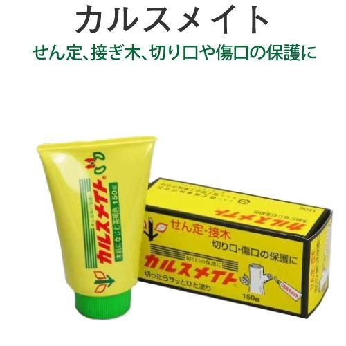 カルスメイト 150g せん定 接ぎ木 切り口 傷口の保護に 花実樹 果樹とガーデニングの専門店 カルスメイト 150g せん定 接ぎ木 切り口 傷口の保護に 花実樹 果樹とガーデニングの専門店