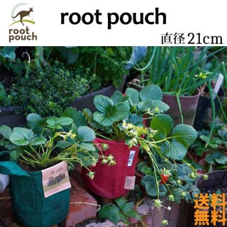 root pouch (ルーツポーチ) 直径21cm　2ガロン 【メール便送料無料】　持ち手の付いた不織布ポット  #2　<img class='new_mark_img2' src='https://img.shop-pro.jp/img/new/icons61.gif' style='border:none;display:inline;margin:0px;padding:0px;width:auto;' />