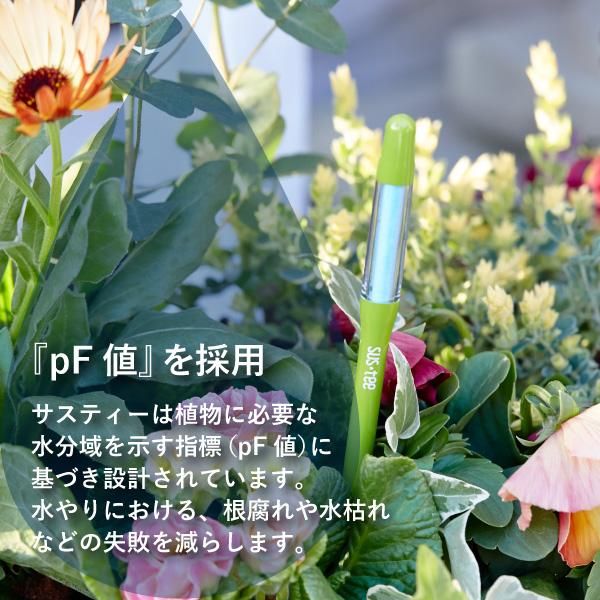もう枯らさない 根腐れさせない 水やり簡単 水やりチェッカー Sustee サスティー Lサイズ用リフィル2本入り 水分計 交換用中芯 花 実樹 果樹とガーデニングの専門店 もう枯らさない 根腐れさせない 水やり簡単 水やりチェッカー Sustee サスティー Lサイズ用リフィル2本入り 水分計 交換用中芯 花 実樹 果樹とガーデニングの専門店
