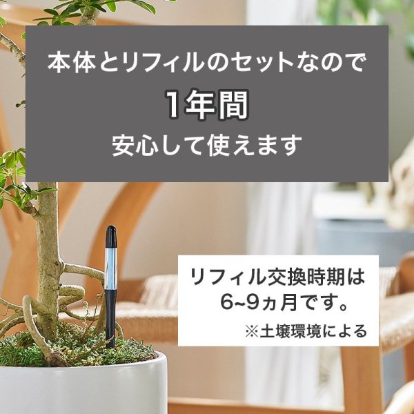 カラー選べる！ 水やりチェッカー sustee（サスティー）Lサイズ本体2本 とリフィルのセット【メール便送料無料】 水分計 -  花実樹～果樹とガーデニングの専門店～