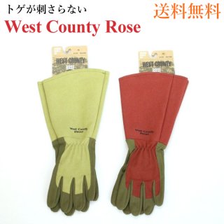 ХѤΥǥ˥󥰥 West County Rose (ȥƥ)  42Ÿ ڥ᡼̵ ȥƥ<img class='new_mark_img2' src='https://img.shop-pro.jp/img/new/icons61.gif' style='border:none;display:inline;margin:0px;padding:0px;width:auto;' />