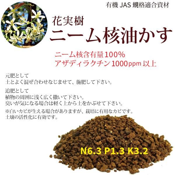 ニーム核油かす 1kg 油粕 油糟 花実樹 果樹とガーデニングの専門店 ニーム核油かす 1kg 油粕 油糟 花実樹 果樹とガーデニングの専門店