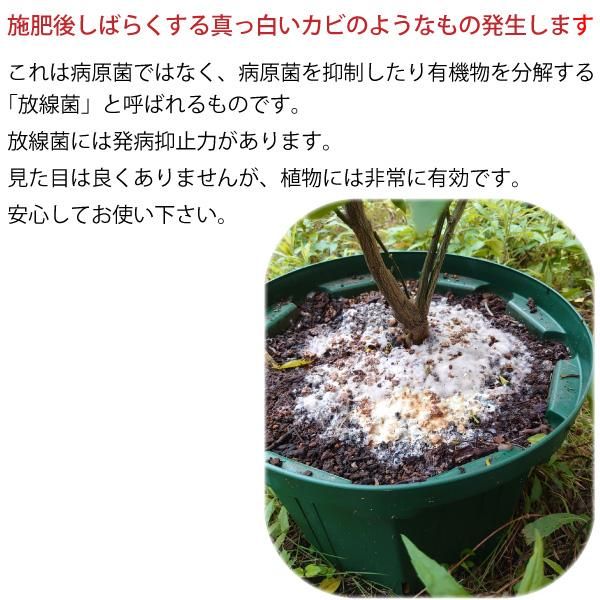 ニーム核油かす 1kg 油粕 油糟 有機肥料 無農薬栽培に使える 花実樹 果樹とガーデニングの専門店