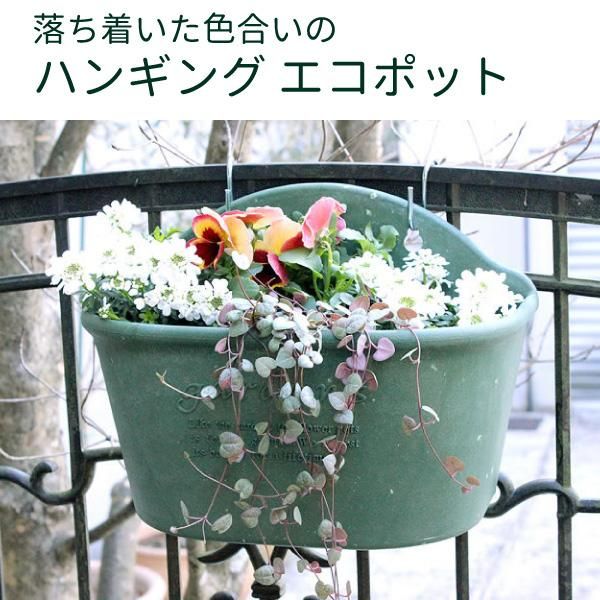 パピエ Hanging Pot 300 ハンギングエコポット300 ハンギングプランター 植木鉢 エコポット 花実樹 果樹とガーデニングの専門店