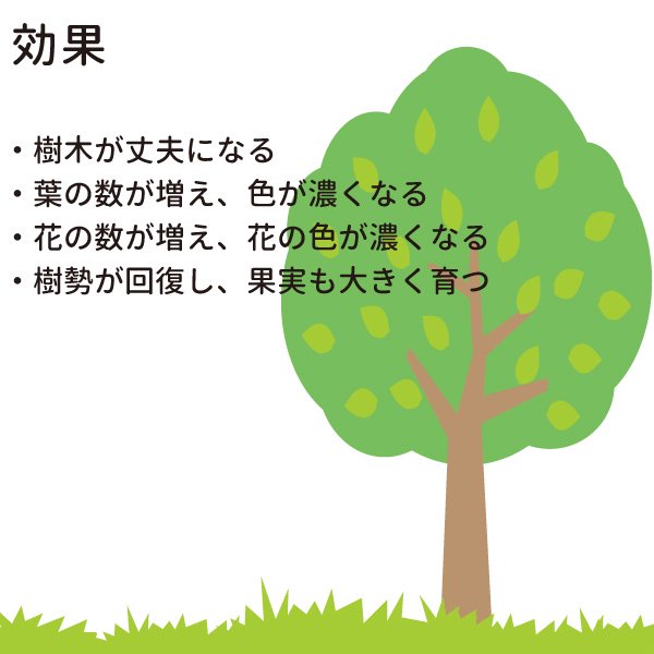 グリーンパイル 一般用 3本入り 【メール便送料無料】 樹木専用 肥料 - 花実樹～果樹とガーデニングの専門店～