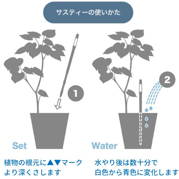 もう枯らさない！根腐れさせない！水やり簡単! カラー選べる！ 水やりチェッカー sustee（サスティー）Sサイズ　 2本セット【メール便送料無料】水分計　 - 花実樹～果樹とガーデニングの専門店～