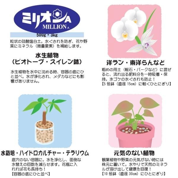 75%OFF!】 ミリオンA 100g 珪酸塩白土 ソフトシリカ ブロックシリコ ソフトシリカ スーパーミリオンA 80g