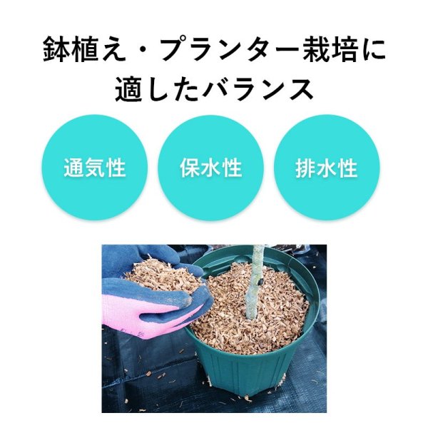 ベラボンプレミアム 50L 培養土のかわりに ヤシの実 チップ - 花実樹～果樹とガーデニングの専門店～