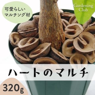 ϡȤΥޥ 320g ޥ󥰺   Gardening Club ڥ᡼̵