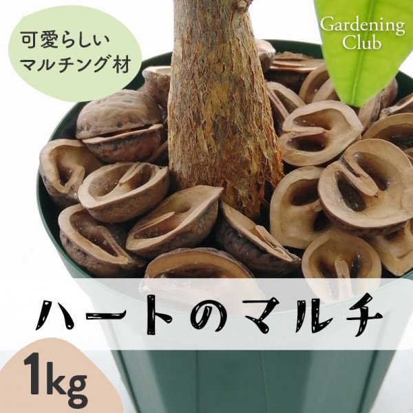 ハートのマルチ 1kg マルチング材 くるみ 殻 Gardening Club - 花実樹～果樹とガーデニングの専門店～