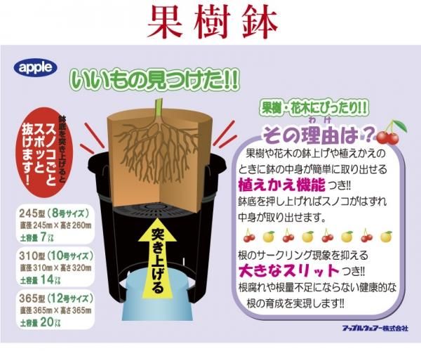 盆栽鉢 995a24e252f2a62a2f4f4582d0c320