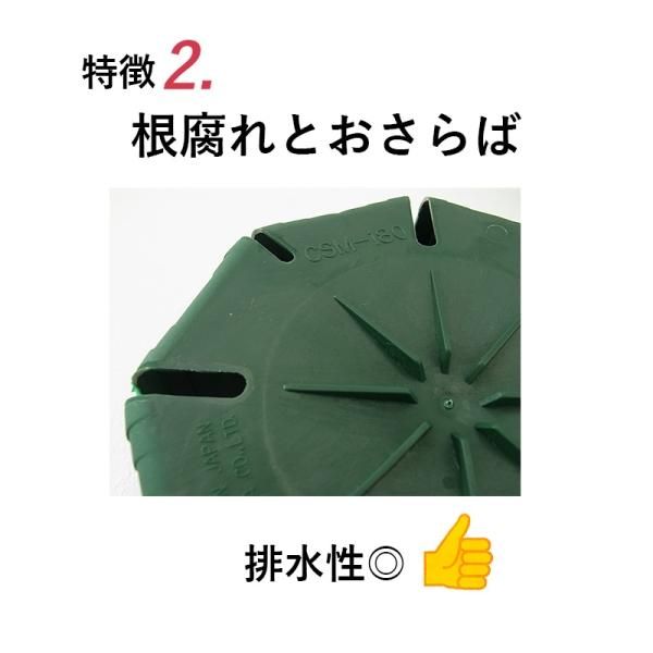 2色から選べる 4号スリット鉢（ロングタイプ）直径12cm CSM-120L 植木鉢 - 花実樹～果樹とガーデニングの専門店～