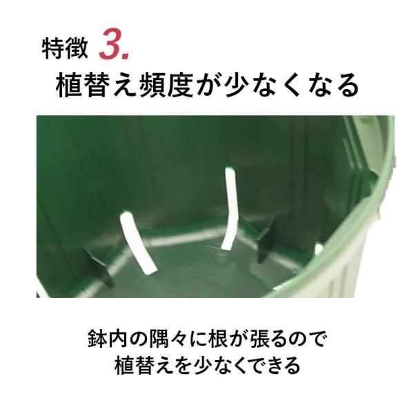 2色から選べる 5号スリット鉢（ロングタイプ）直径15cm - 花実樹～果樹とガーデニングの専門店～