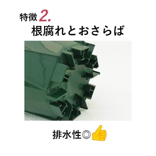 6号スリット鉢 懸崖タイプ（グリーンのみ）直径18cm - 花実樹